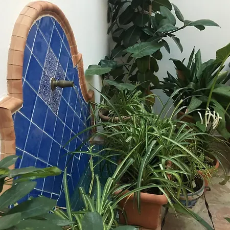 La Casa Del Río Córdoba