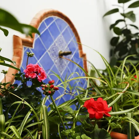 La Casa Del Rio * Cordoue