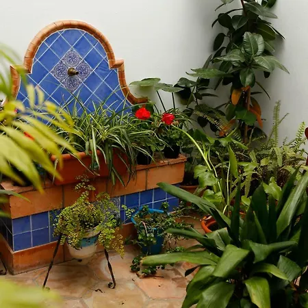 Apartamento La Casa Del Río Córdoba